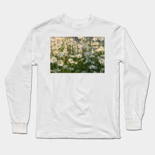 Wild Oxeye Daisies in Spring Long Sleeve T-Shirt